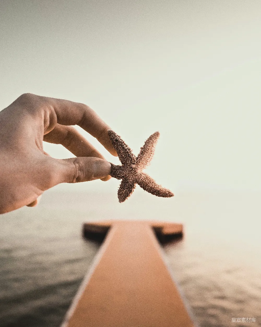 高清摄影 手握海星 海边 宁静 自然 旅行 手握海星，海边静谧