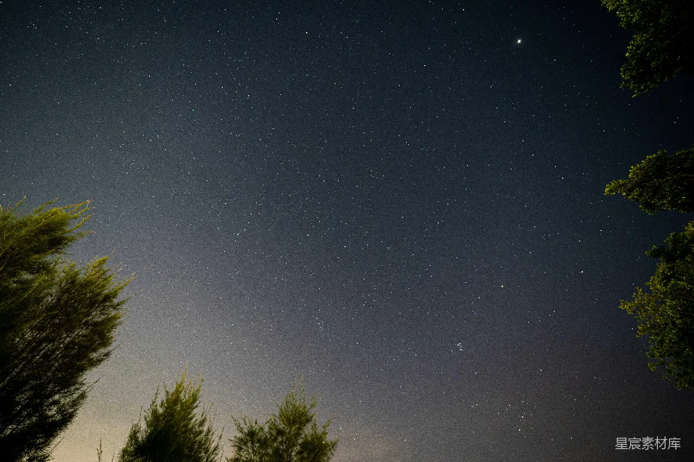 高清摄影 星空 夜景 自然 宁静 户外 星空下的树梢