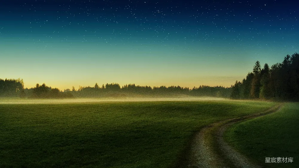 高清摄影 夜晚 乡间 自然 宁静 风景 夜幕下的乡间小路