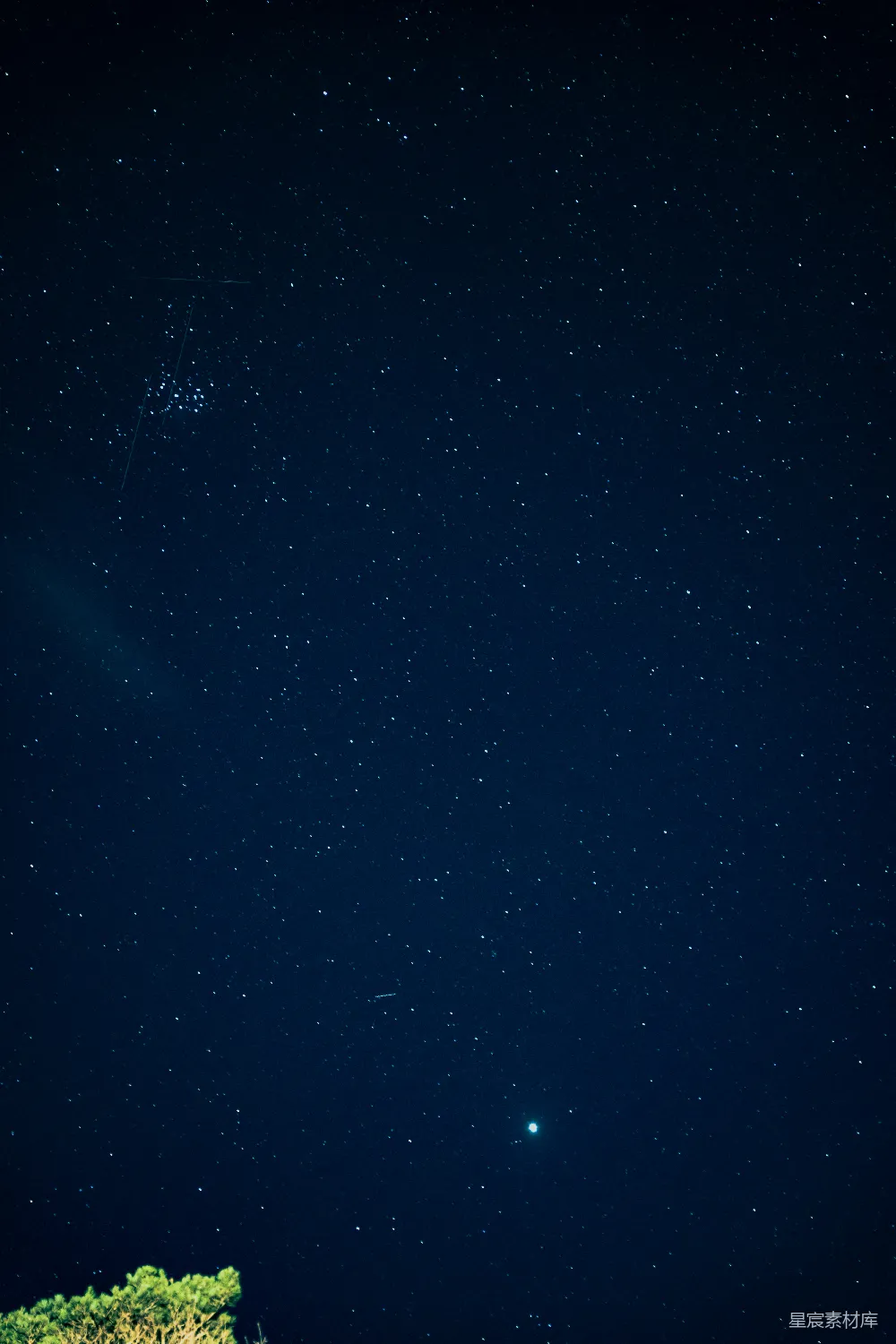 这张图片捕捉到了一个宁静的夜晚，满天的星星在深蓝色的夜空中闪烁，星星点点的光点在黑暗中显得格外明亮。图片中可以看到树木的轮廓，为这幅夜空美景增添了一丝生机。这种场景适合用作自然风光的背景，或者作为冥想和放松的背景音乐的视觉展示。