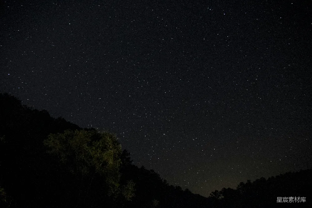 高清摄影 夜空 星星 森林 宁静 自然 夜空下的森林