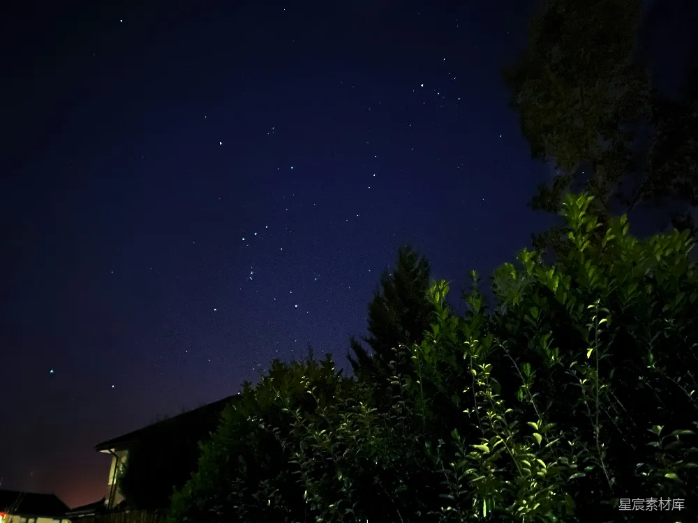 高清摄影 夜景 星空 自然 宁静 户外 夜空下的树梢