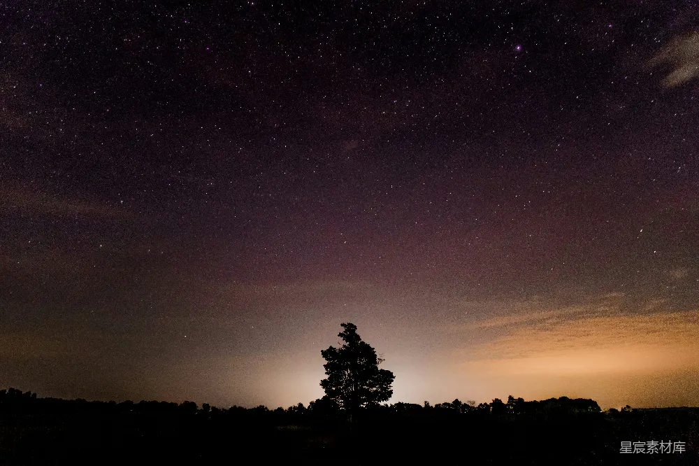 高清摄影 星空 孤独 自然 宁静 夜晚 星空下的孤独树