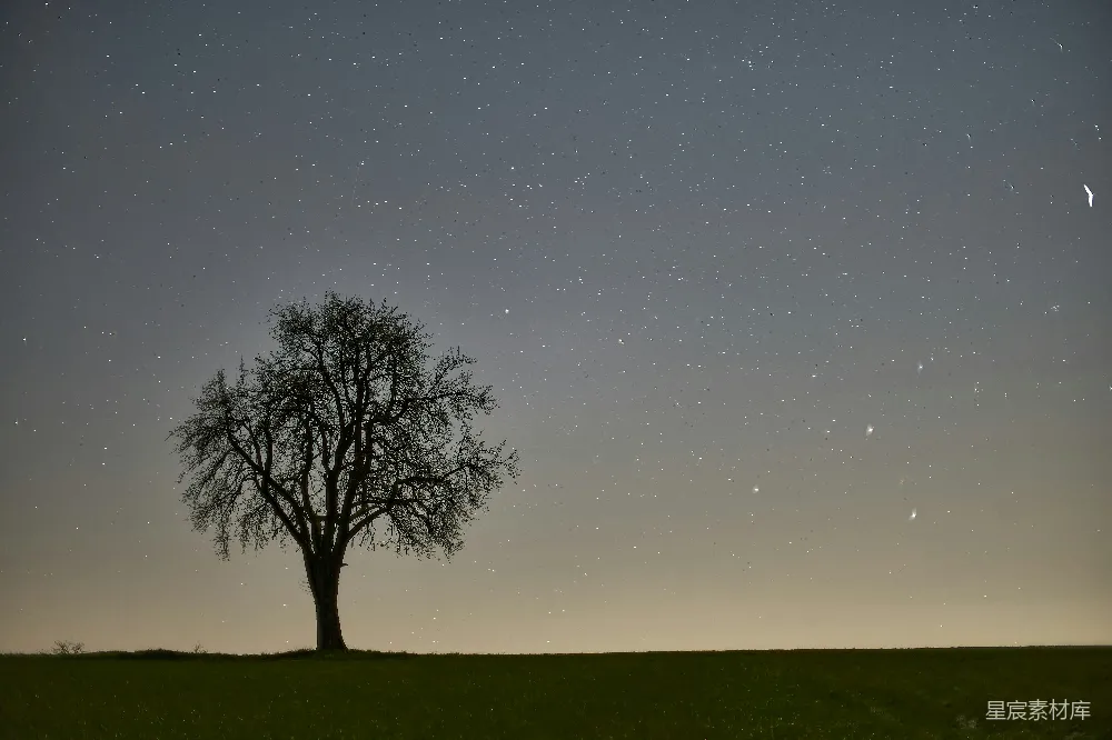高清摄影 夜景 孤独 自然 星空 宁静 夜空下的孤独树
