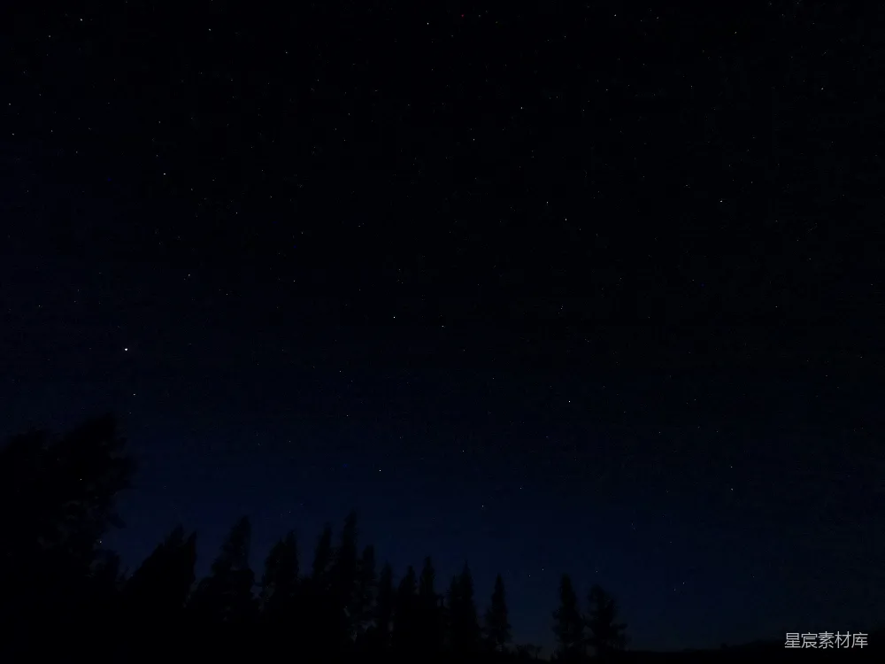 高清摄影 夜空 星空 森林 宁静 自然 夜幕下的森林