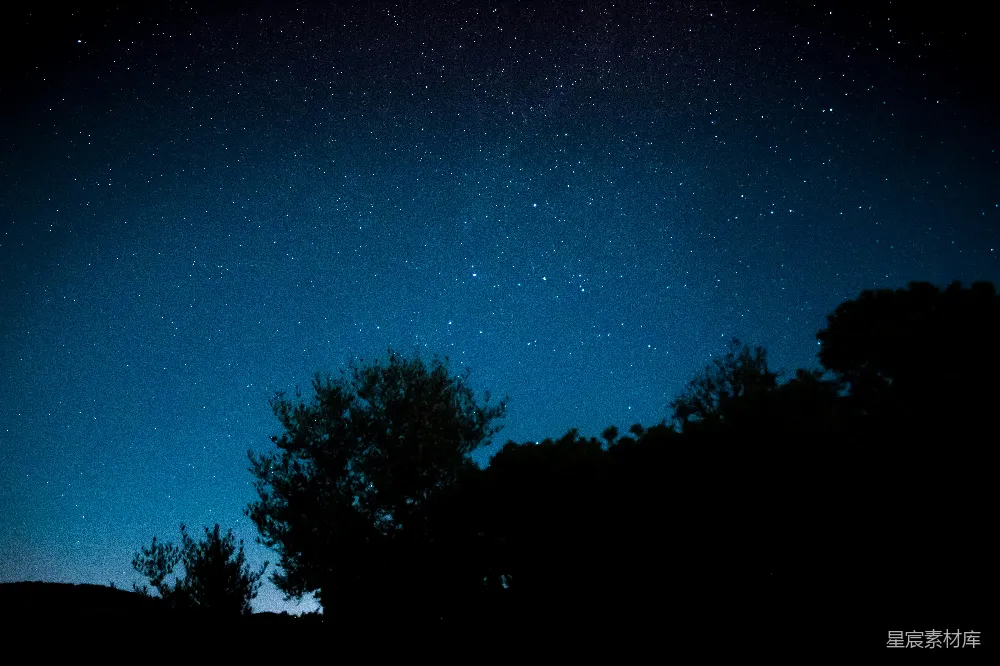 高清摄影 夜空 星空 树影 宁静 自然 夜空下的树影