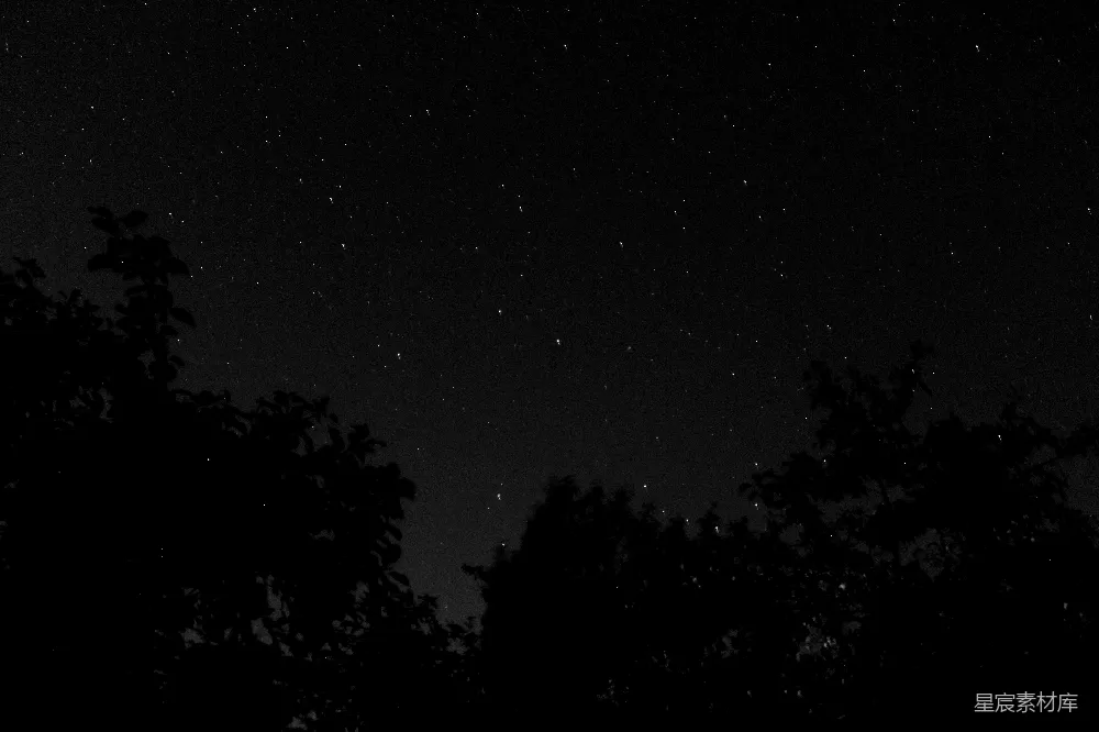 高清摄影 夜空 星星 树木 宁静 自然 夜空下的树影