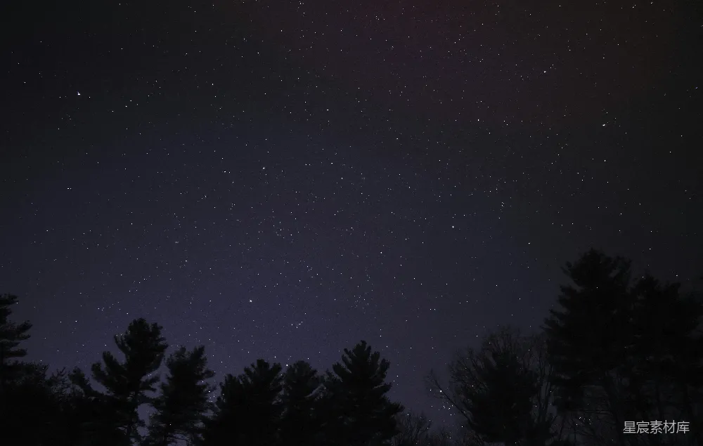 高清摄影 星空 夜景 自然 宁静 森林 夜空中的繁星与森林剪影