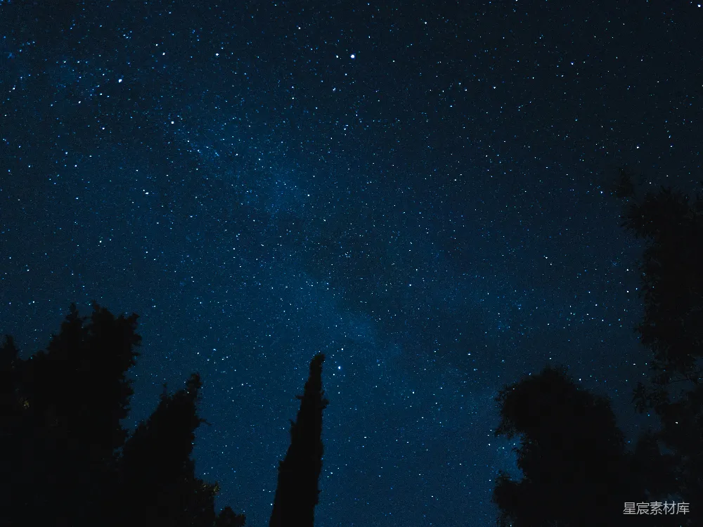 高清摄影 夜景 星空 自然 宁静 户外 夜空下的树梢