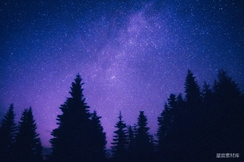 高清摄影 夜空 松林 星空 自然 宁静 夜空下的松林