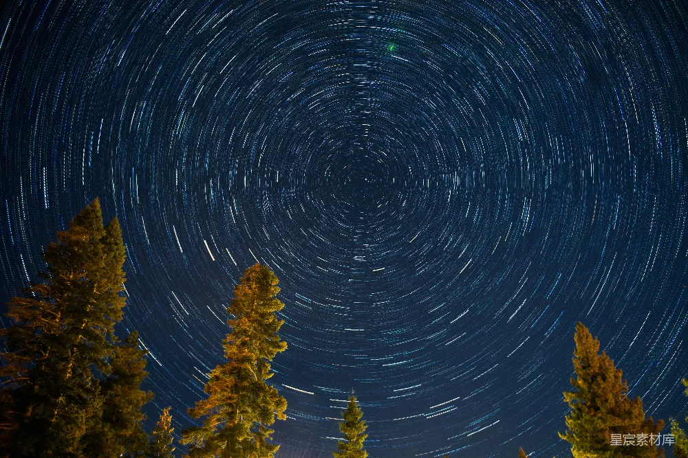 高清摄影 星轨 夜景 松树 自然 天文 星轨下的松树
