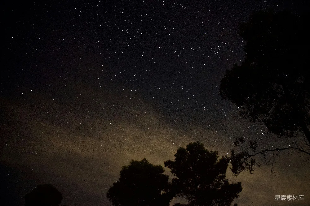 高清摄影 夜景 自然 宁静 天文学 户外 星空下的树影