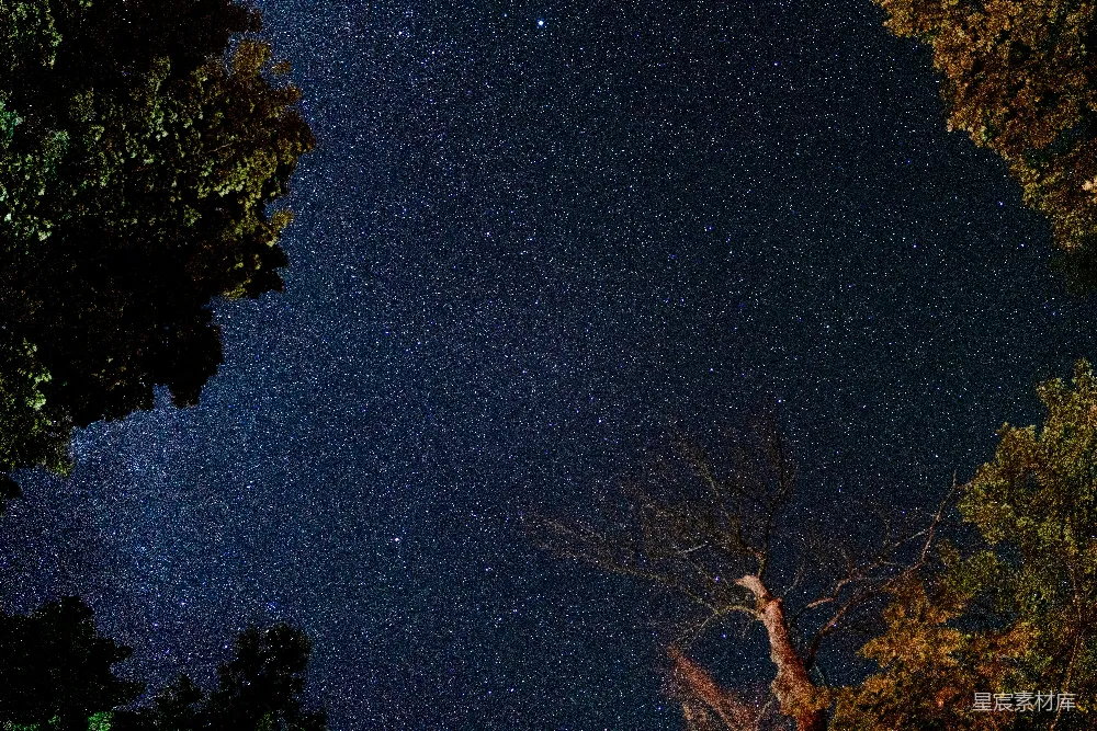 高清摄影 夜景 星空 自然 宁静 户外 夜空下的星河