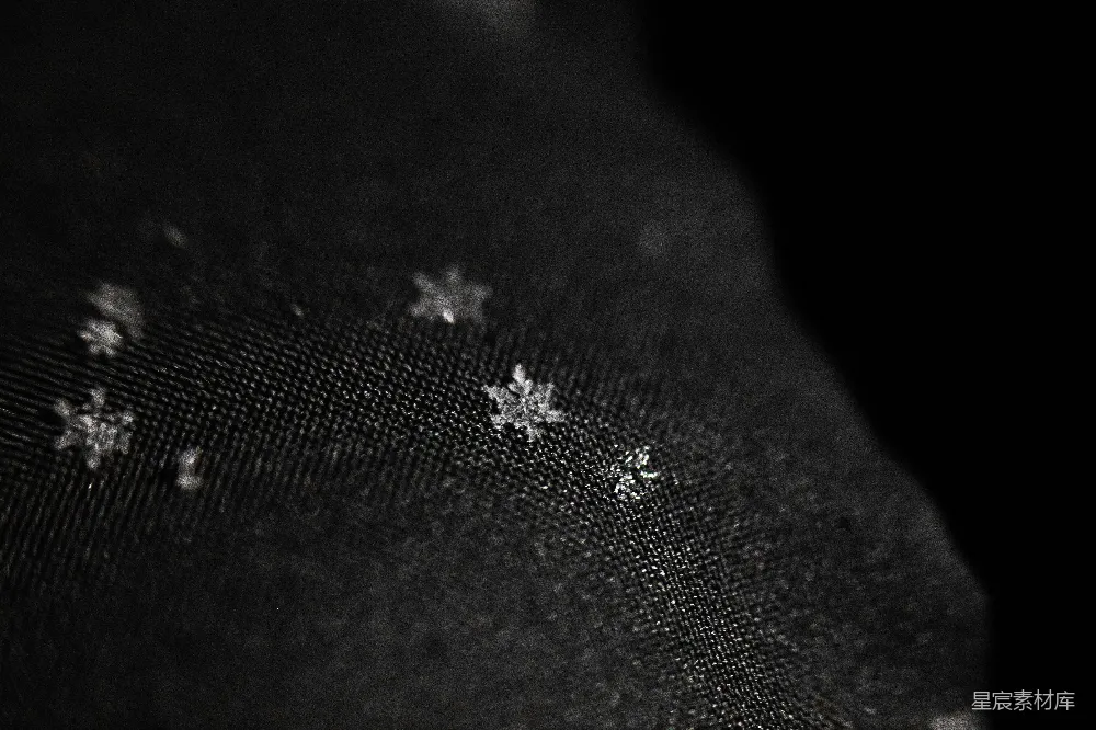 高清摄影 雪花 黑色背景 自然美 冬季 静谧 黑底银雪花