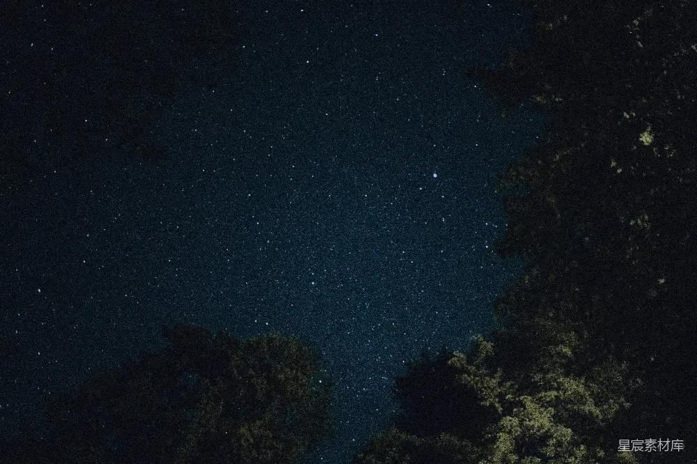 这张图片捕捉到了一个宁静的夜景，天空中点缀着无数的星星，而前景中的树梢轻轻摇曳，为这幅画面增添了一丝生机。深邃的蓝色调和点点闪烁的星光，营造出一种神秘而宁静的氛围，非常适合用于自然风光、宁静生活或星空主题的背景。