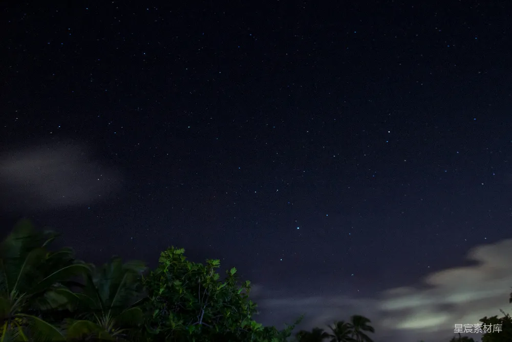 高清摄影 夜空 星空 热带植物 宁静 自然 星夜下的热带风情