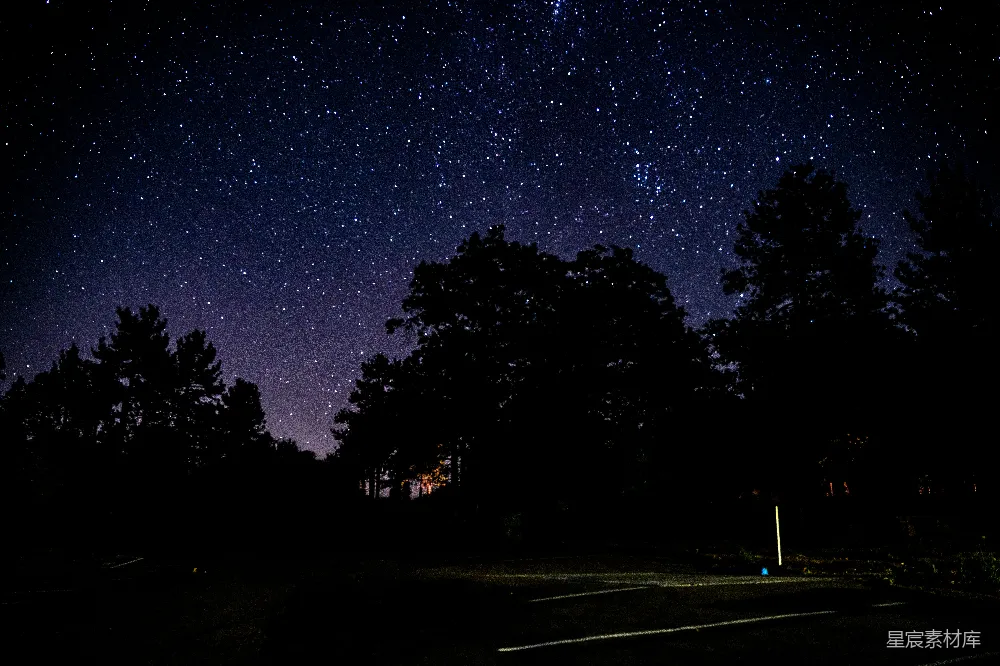 高清摄影 星空 夜晚 自然 宁静 户外 夜空下的树影