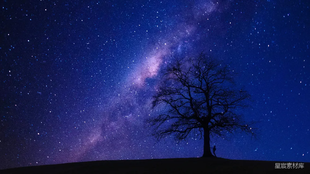 图片展示了一棵孤独的树在星空下，树的轮廓在夜空中显得格外清晰。夜晚的星空布满繁星，银河在天空中蜿蜒，营造出一种宁静而神秘的氛围。这个场景适合用作自然风光、静谧时刻或夜景摄影的素材。