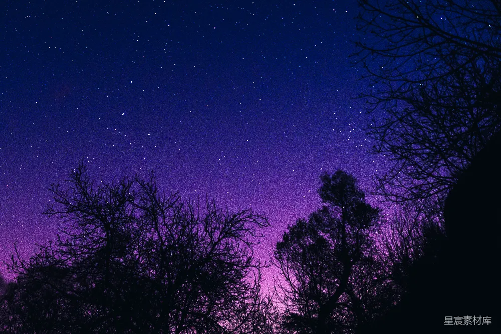 高清摄影 夜空 紫色 树影 星空 自然 紫色星空下的树影