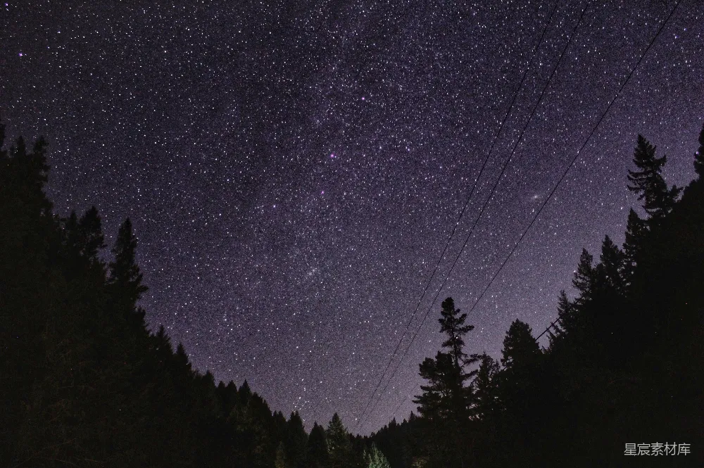 高清摄影 星空 自然 森林 宁静 夜景 星空下的森林