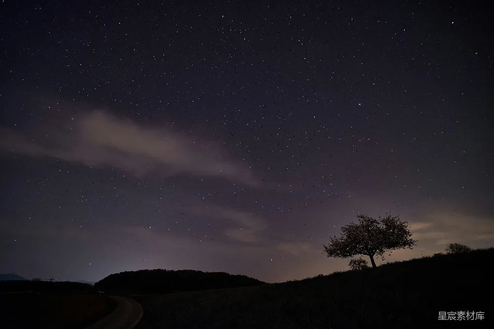 这张图片展示了夜空下的宁静场景，地平线上方的星空繁星点点，地平线下方有几棵树木的剪影，其中一棵独立的树格外引人注目。画面的右下角有一条蜿蜒的乡间小路，延伸至远方。整个画面给人一种宁静、孤独且美丽的感觉，适合用作自然、宁静或乡村风格的背景图。