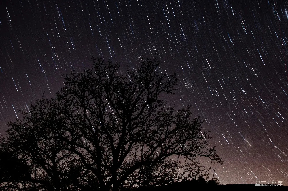 高清摄影 星轨 夜景 自然 摄影 孤独 星轨与孤树：夜晚的静谧之美
