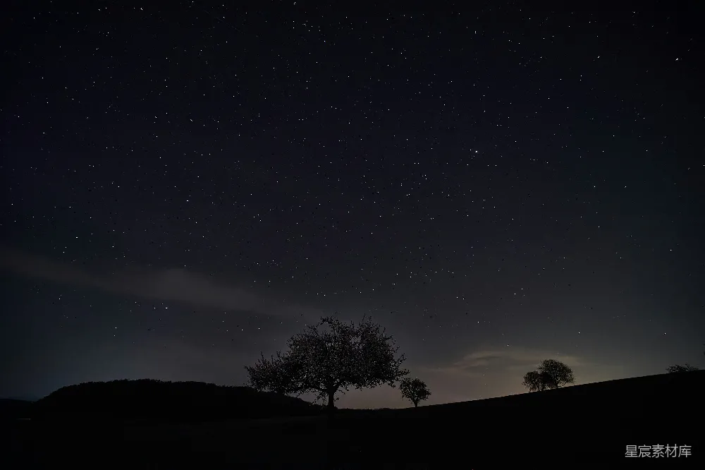 高清摄影 夜景 星空 孤独 自然 宁静 夜空下的孤独树