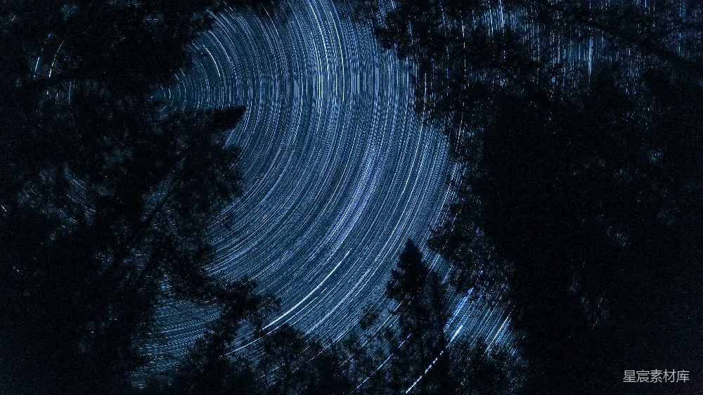 高清摄影 星轨 夜景 自然 森林 摄影 星轨与夜色下的森林