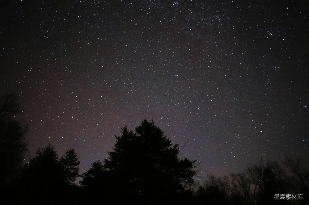 这张图片展示了夜晚天空中密集的星星，背景是深邃的夜空，前景是剪影的树木。画面营造出一种宁静和神秘的氛围，适合用作自然风光、天文摄影或夜景摄影的素材。