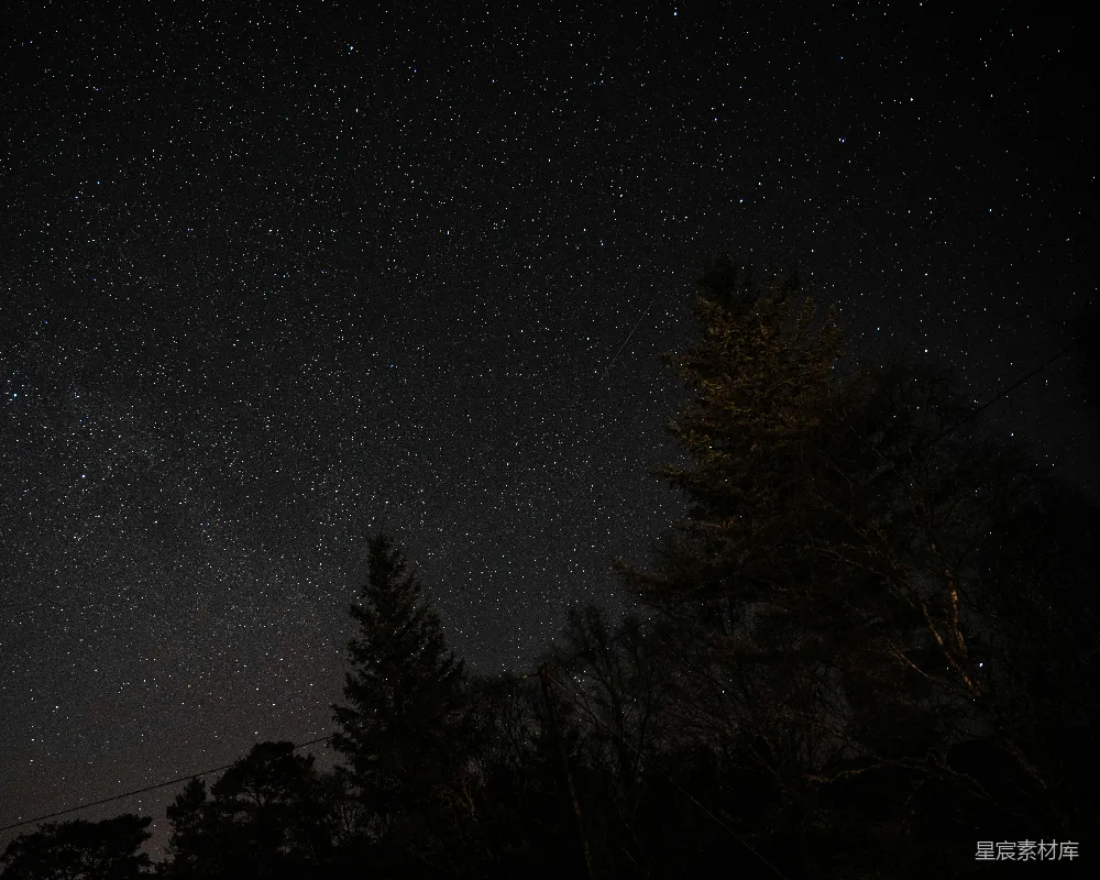 高清摄影 夜景 星空 自然 宁静 户外 夜空下的星星与树木