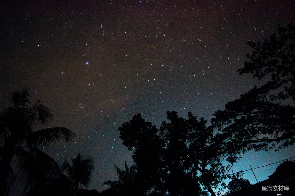 高清摄影 星空 夜晚 自然风光 宁静 户外 夜空下的树影
