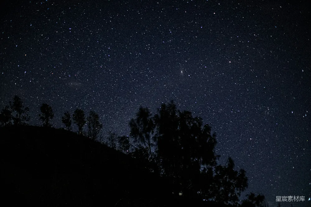 高清摄影 夜空 星空 树影 宁静 自然 夜空下的树影