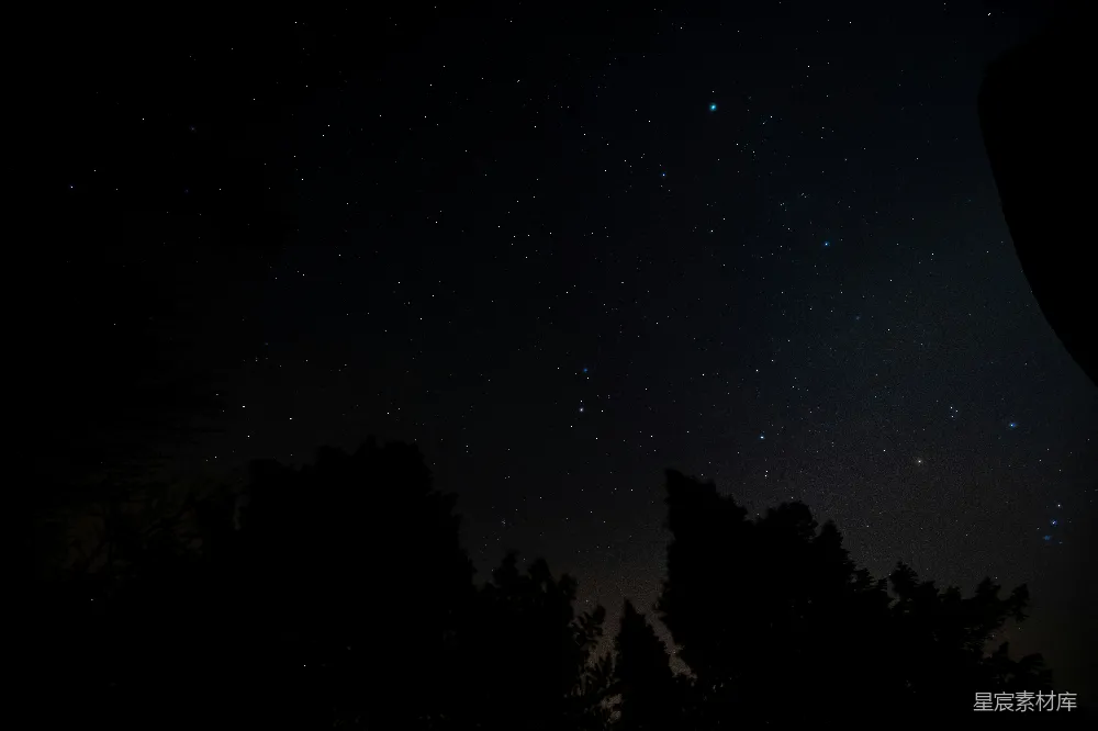 高清摄影 星空 夜景 自然 宁静 户外 星空下的树梢剪影