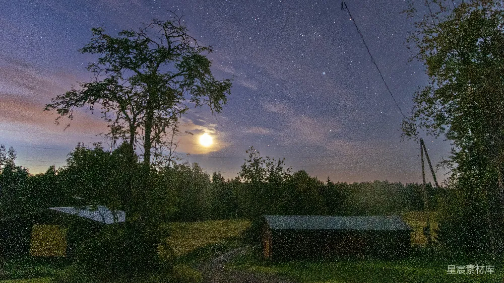 这张图片展示了一个宁静的乡村夜景，满天的星星和一轮明亮的月亮照亮了天空，地面上的树木和房屋在月光下显得格外宁静。背景的森林和远处的建筑物增加了画面的层次感，营造出一种平和而美丽的自然氛围。