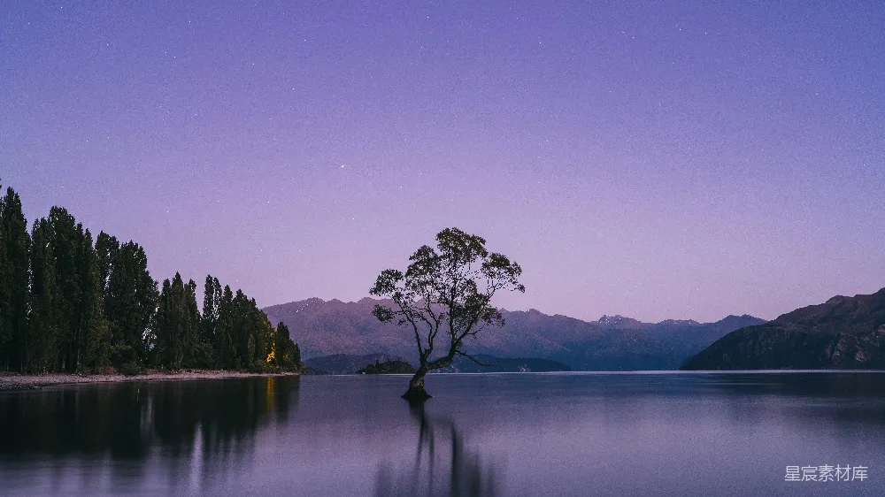 高清摄影 自然风光 宁静 夜景 湖泊 树木 湖畔夜景中的孤树