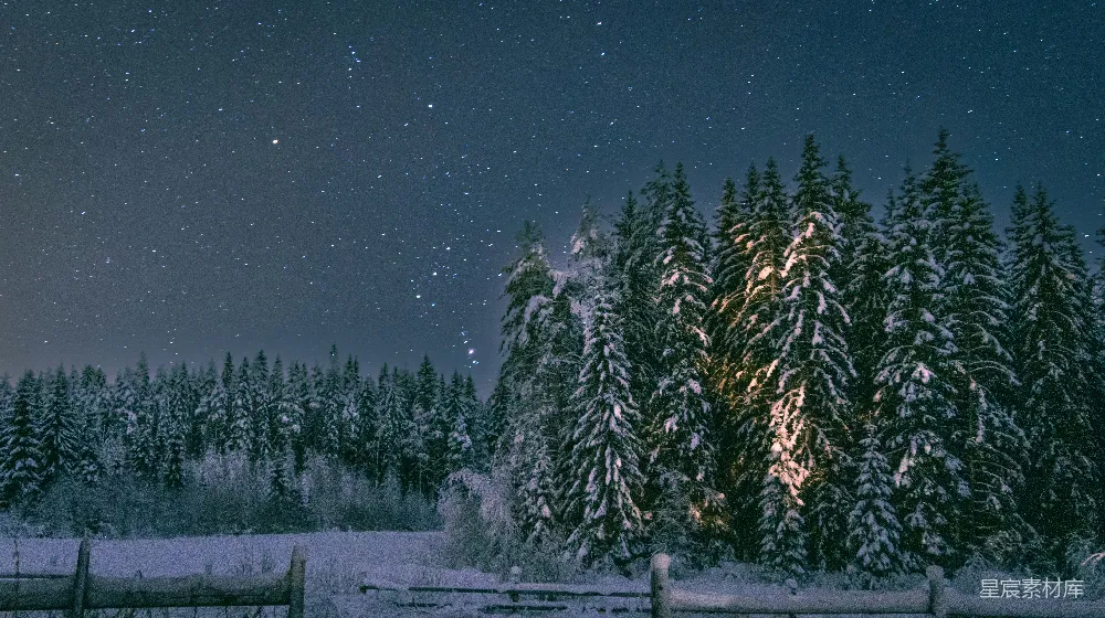 高清摄影 冬夜 雪林 星空 自然美景 宁静 冬夜星空下的雪林