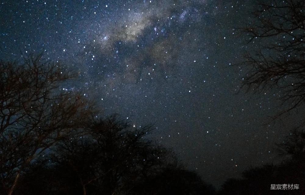 这张图片展示了一个宁静的夜晚，银河横跨夜空，星星点点，树木的剪影在前景中形成深色的轮廓，营造出一种神秘而宁静的氛围。适合用于自然风光、宇宙探索或静谧时刻的主题。