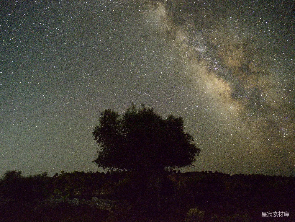 夜幕低垂，银河横跨天际，一颗独立的树木在黑暗中显得格外醒目。这幅景象不仅展示了自然的壮丽，还传递出一种宁静与神秘的氛围，适合用作自然风光、宁静生活或宇宙探索的背景素材。