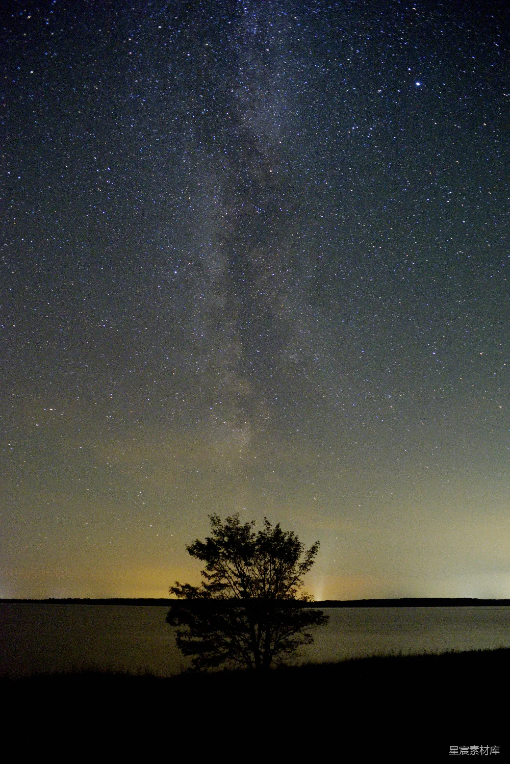 高清摄影 夜景 银河 自然 宁静 星空 孤独的树与银河
