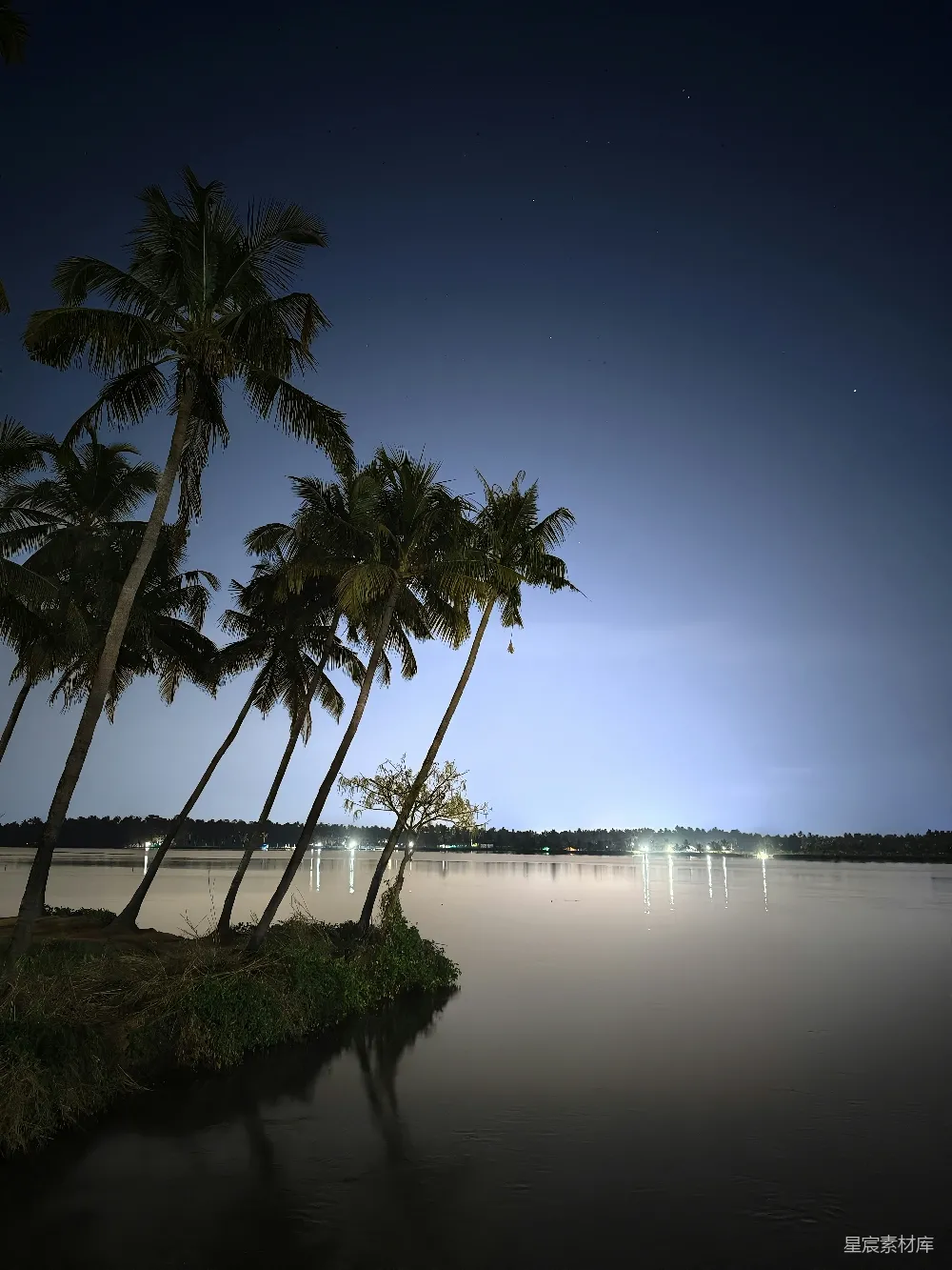 高清摄影 夜晚 椰子树 湖畔 宁静 自然 夜晚的椰林湖畔