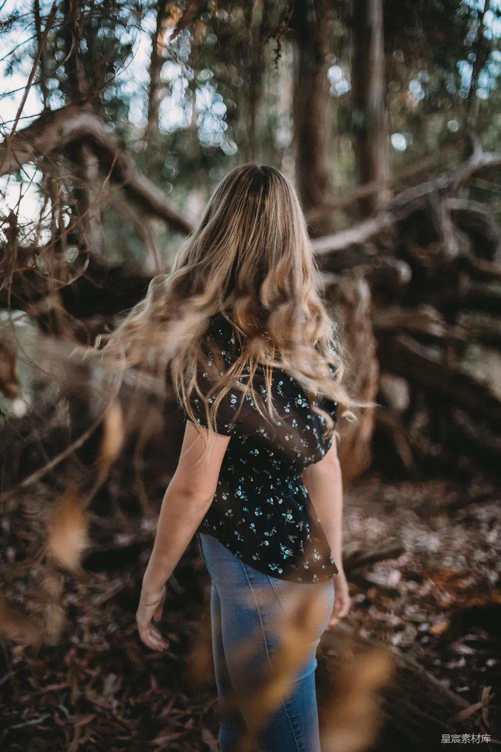 高清摄影 自然 女性 户外 风景 写真 森林中的背影