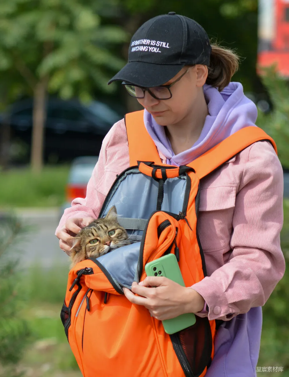 高清摄影 宠物 户外 背包 猫咪 休闲 背着猫的户外探险者