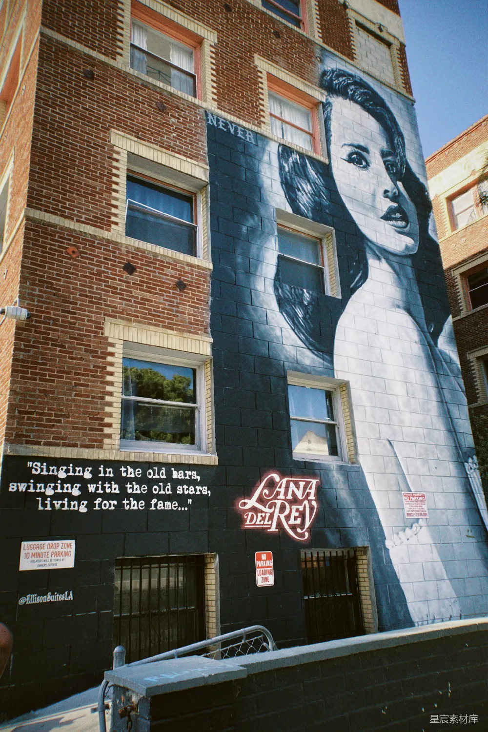 这幅Lana Del Rey的壁画位于城市街景中，建筑物的墙壁上绘有这位著名歌手的大型肖像。壁画下方有英文歌词，营造出一种怀旧与艺术并存的氛围，适合用于音乐艺术展示或城市文化探索。