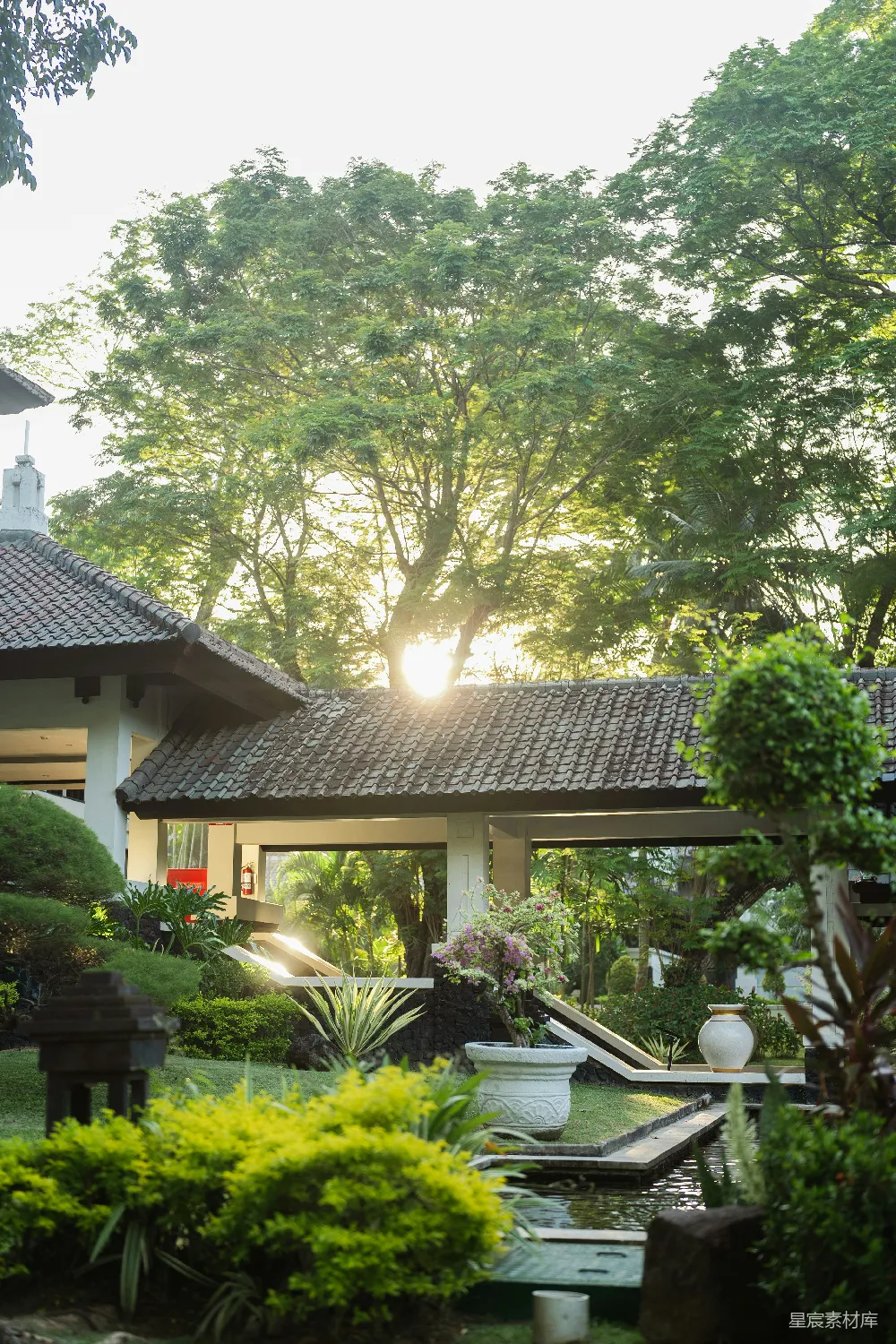 高清摄影 花园 日落 宁静 自然 户外 日落时分的宁静花园