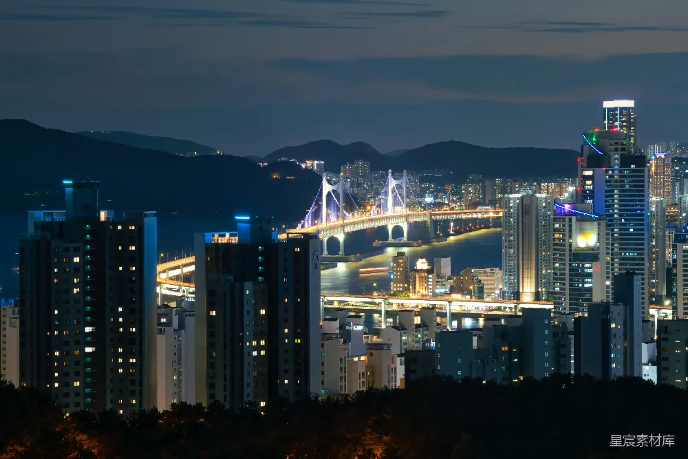 这张图片展示了夜晚城市的壮观景象。桥上灯光璀璨，与周围的高楼大厦相映成趣。远处的山脉与近处的城市建筑形成对比，展现出城市与自然的和谐共存。整体画面充满了现代都市的繁华与活力。