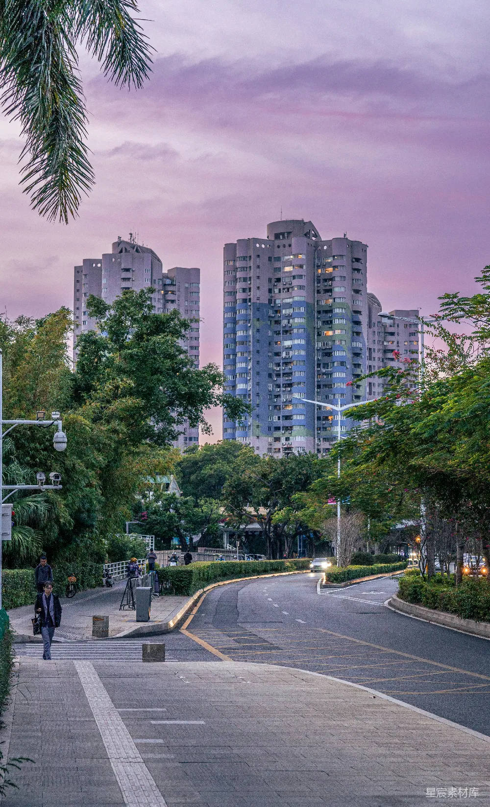 这张图片展示了城市黄昏时分的一条宁静街道。天空被晚霞染成紫色和粉色，建筑物在柔和的光线中显得格外宁静。街道两旁是郁郁葱葱的树木，行人和自行车在安静的街道上缓缓移动，营造出一种平和的氛围。