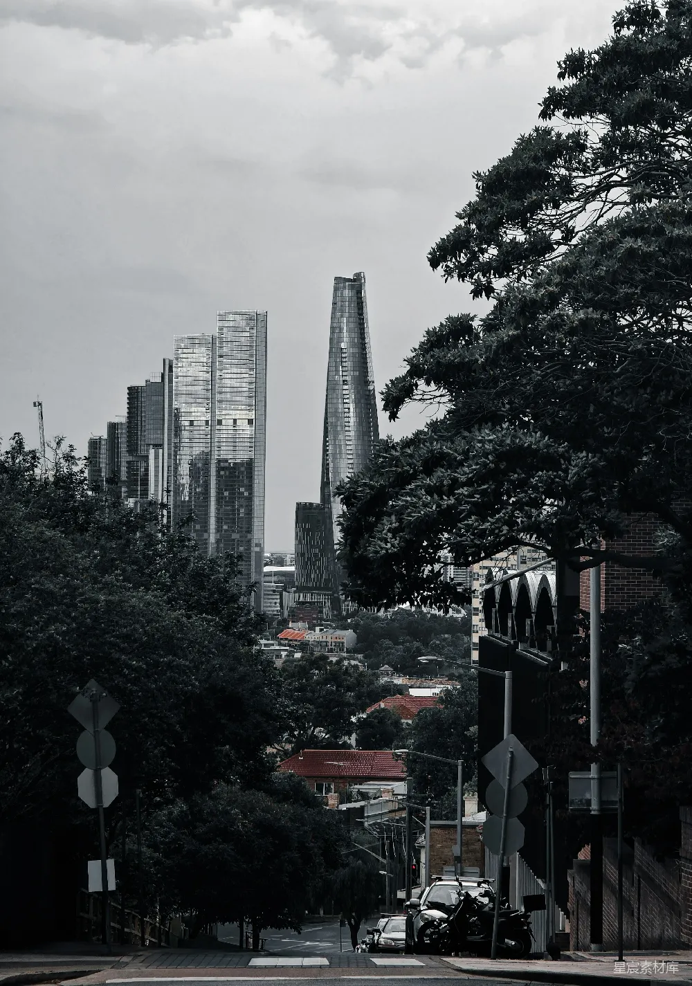 这张图片展示了现代城市与自然景观的和谐共存。画面中，高楼大厦矗立在背景中，与前景的树木和街道形成鲜明对比，展现出一种独特的城市美学。天空阴沉，为画面增添了一丝神秘与宁静。适合用于城市宣传、自然与城市融合主题的背景。