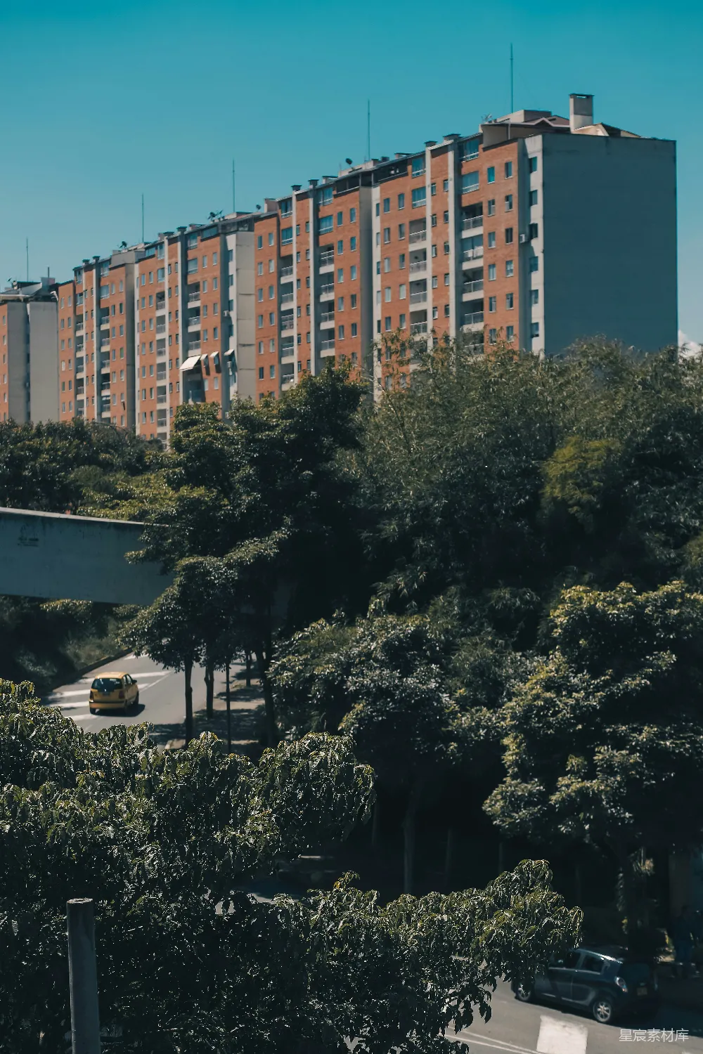 这张图片展示了一条城市中的道路，道路两旁是茂密的树木和高楼大厦。前景中的树木郁郁葱葱，为城市带来自然的绿意，背景中的高楼则展示了现代城市的建筑风格。道路上有行驶的车辆，整个场景充满了都市生活的气息。