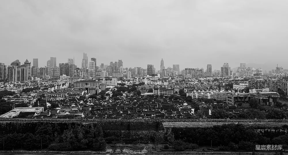 这张黑白照片展示了城市的全景，前景是绿树成荫的公园，中间是密集的住宅区，背景是高耸的摩天大楼。照片捕捉了城市与自然的对比，营造出一种宁静而现代的氛围。