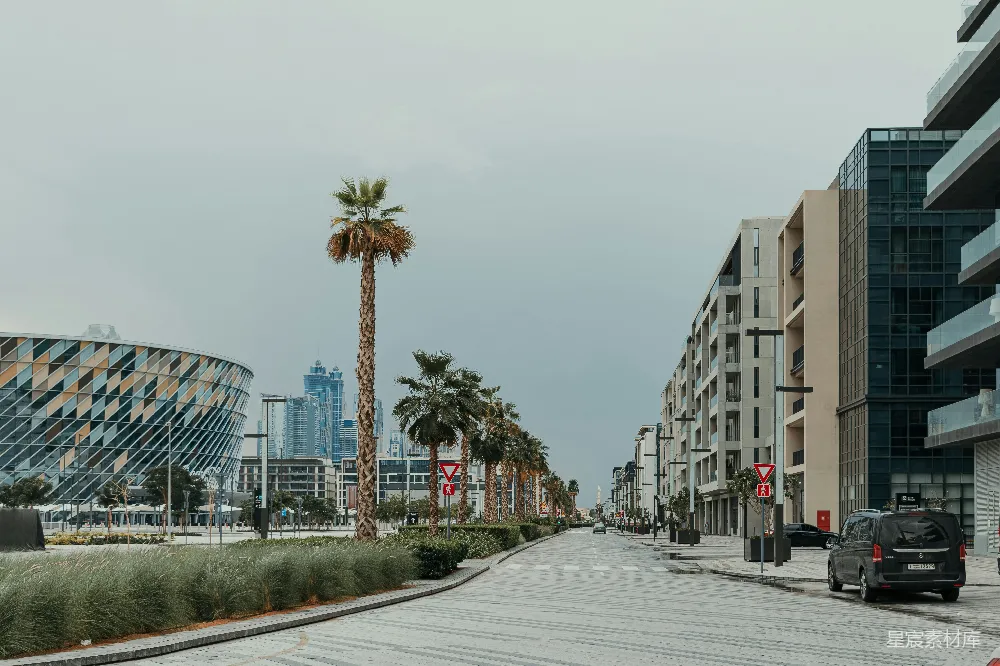 图片展示了一条现代化城市的街道，两旁是高耸的建筑和整齐排列的棕榈树。街道干净整洁，路面铺设整齐，远处可以看到高楼大厦，天空阴沉，给人一种宁静而现代的感觉。适合用于城市风光、旅游宣传或建筑设计展示。
